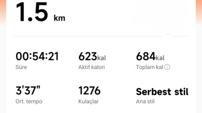 Nasıl yüzmüşüm akşam akşam?