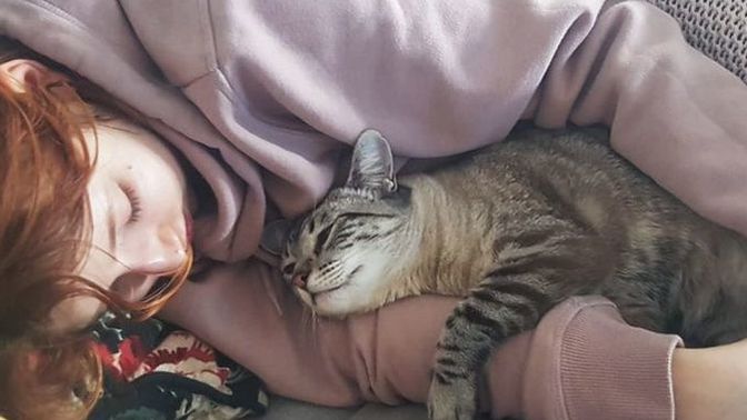 Gündüz uyuyan insanlar, kediler gibi geceye enerji toplamak için mi uyuyor?