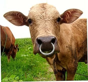 Piercing hakkında ne düşünüyorsunuz?