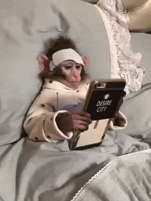 Merhaba KS halkı, Uyandığınızda İlk Ne Yapıyorsunuz?