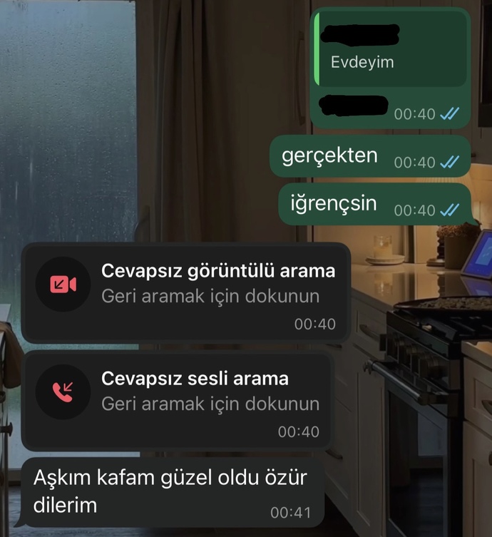 Erkek arkadaşım erkek arkadaşlarıyla içti. Bana mı suç atıyor sizce?