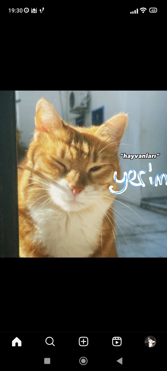 Şu an hayatınız 10üzerinden kaç tahmin edimmi?