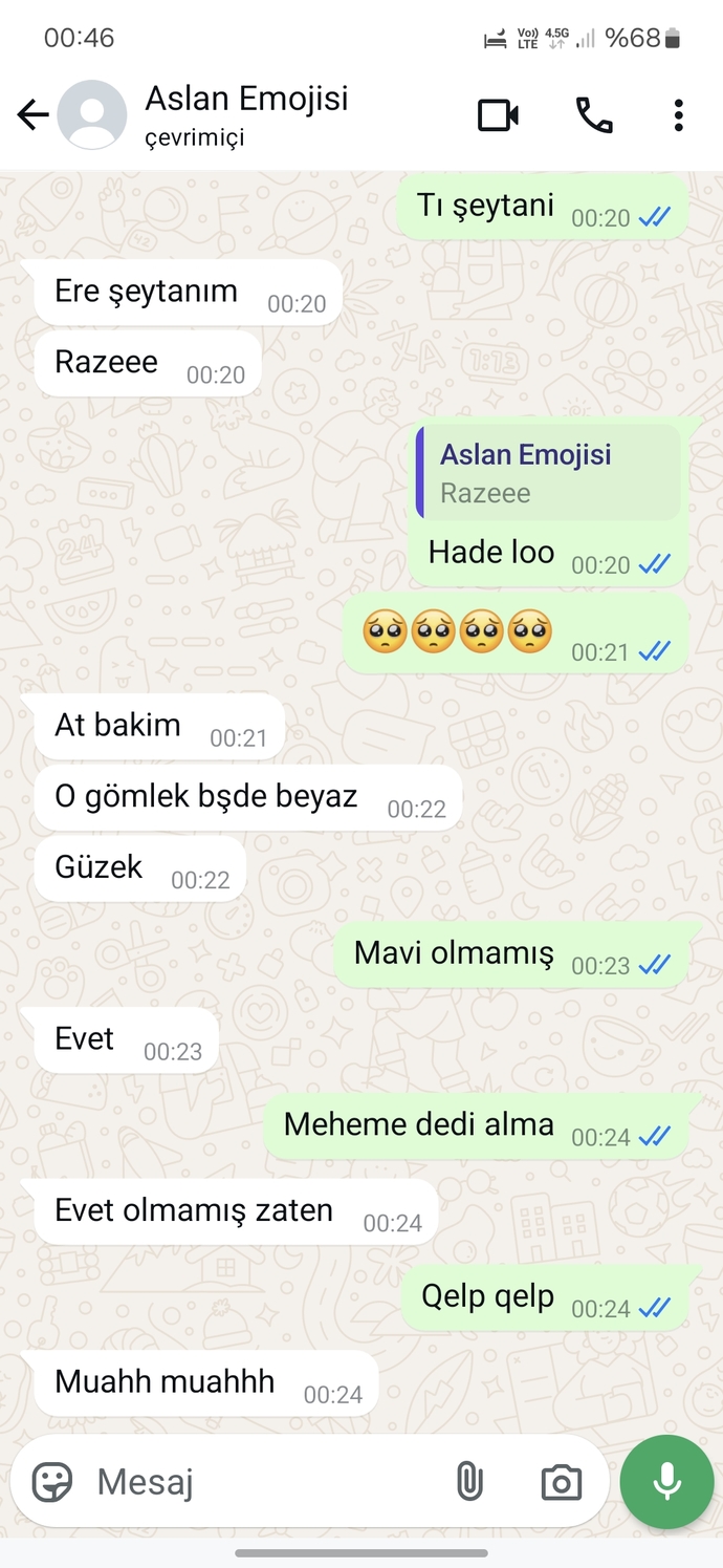 En son attığınız wp mesajı ne?