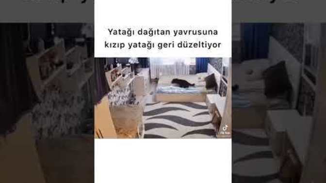 Kalktığınızda yatağı topluyor musunuz? Yoksa zaten her gün bozuyoruz, niye toplayalım diyenlerden misiniz?