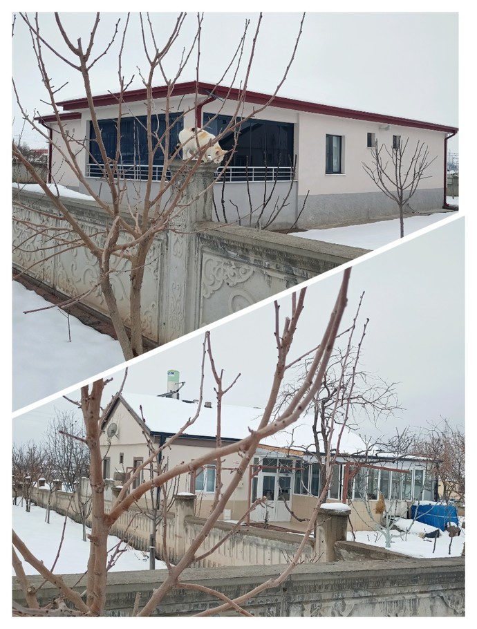 Hangi ev daha güzel sizce?
