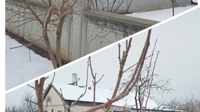 Hangi ev daha güzel sizce?