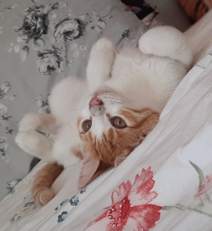 Sizce bu arkadaş normal mi😵💫🤪?