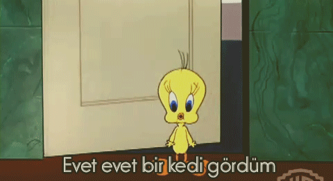 Sizce bu arkadaş normal mi😵‍💫🤪?
