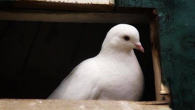 Erkekler gerçekten böyle kızlardan mı hoşlanıyor?