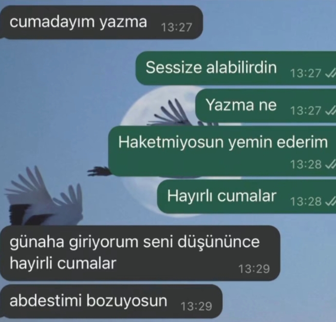 Kadınların her halta trip atması normal mi sizce?