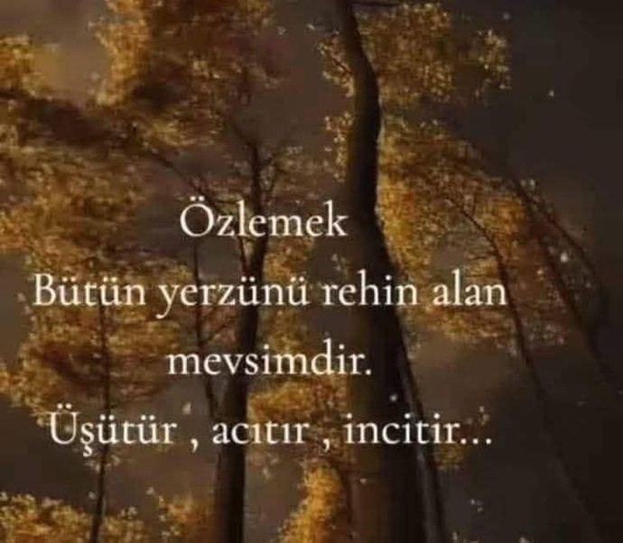 Özlemin dili olsaydı neyi haykırırdı?