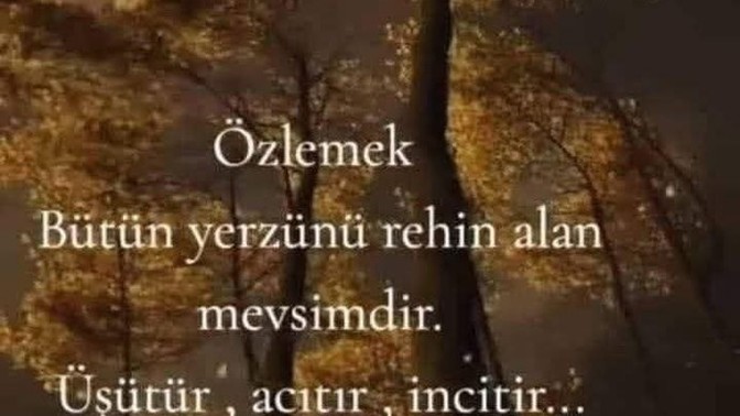 Özlemin dili olsaydı neyi haykırırdı?