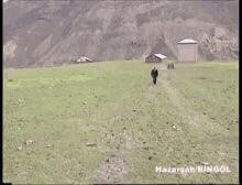 Aşk kapınızı çalsa ne söylerdiniz?