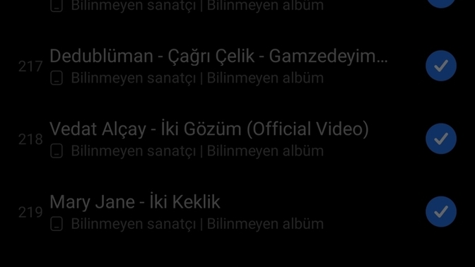 Müzik listenizi ne kadar sürede bir yenilersiniz?