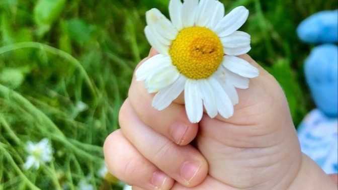 Küçükken annenize çiçek toplar mıydınız?