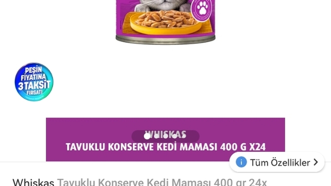 Mamalar neden sürekli dahada pahalı olmaya başladı?