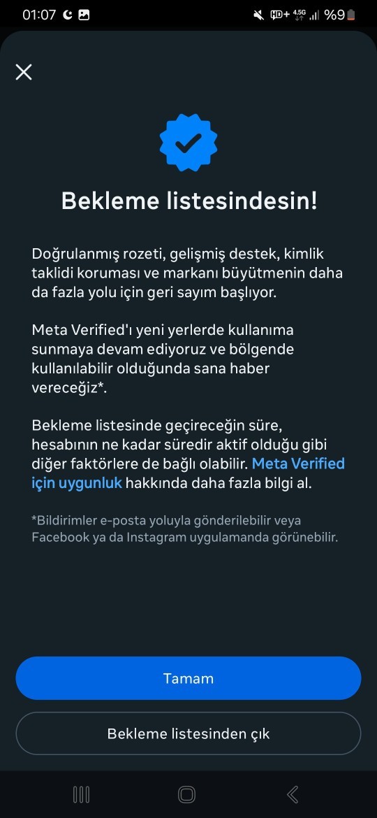 Mavi tik neden gelmiyor bana?
