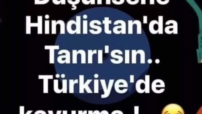 Soğuk espri sever misiniz?