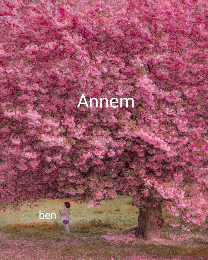 Annemiz resmen cennet değil mi?
