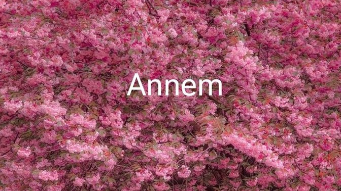 Annemiz resmen cennet değil mi?