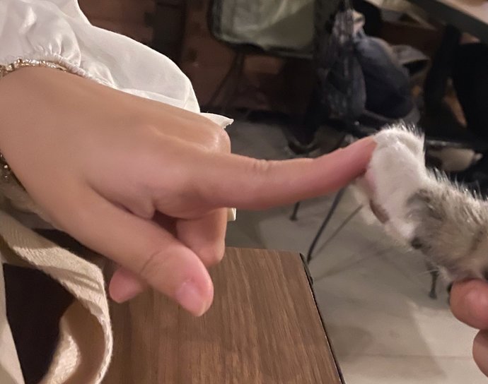Su ana kadar yakaladığın en guzel poz?
