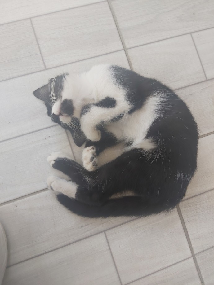 Su ana kadar yakaladığın en guzel poz?