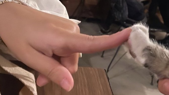 Su ana kadar yakaladığın en guzel poz?