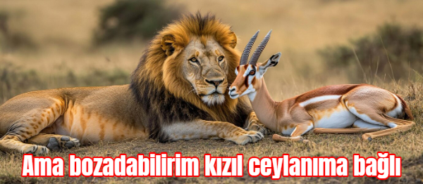Yeni bir dil öğrenmenin en kolay yolu nedir?