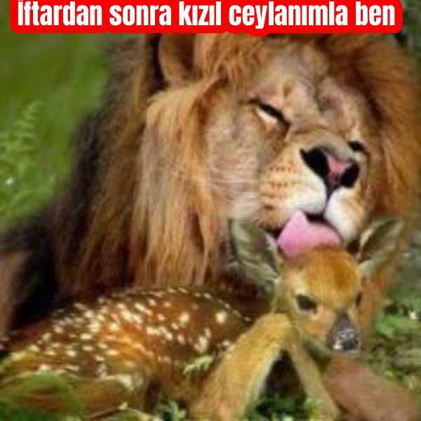 Yeni bir dil öğrenmenin en kolay yolu nedir?