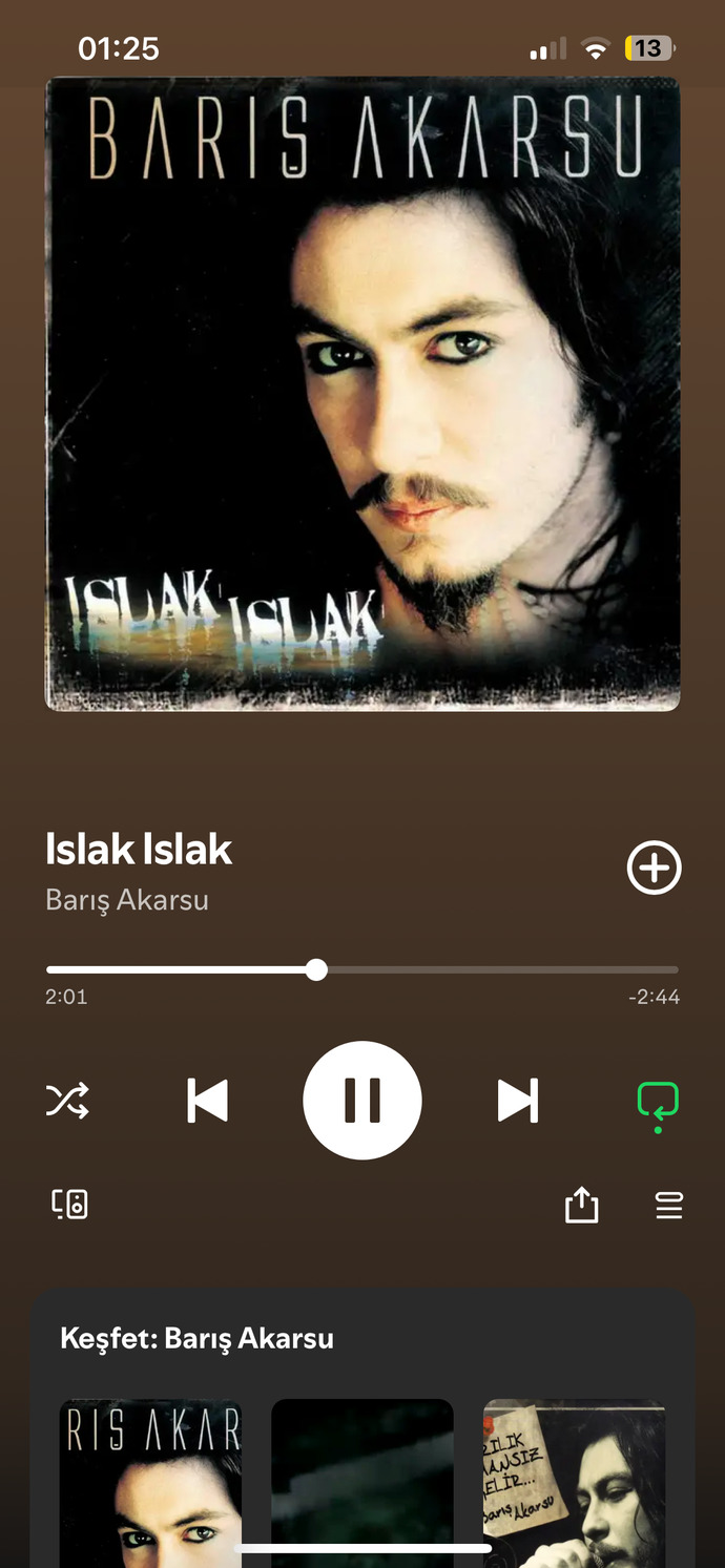 Uyumadan önce müzik dinler misiniz?