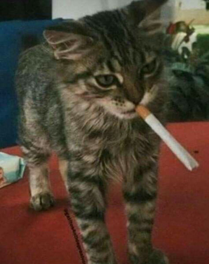 Ramazanda kilo mu aldınız, kilo mu verdiniz?