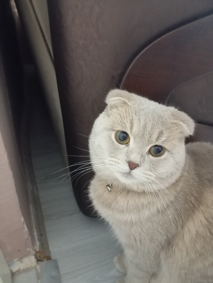 Sizinde bundanınız var mı?