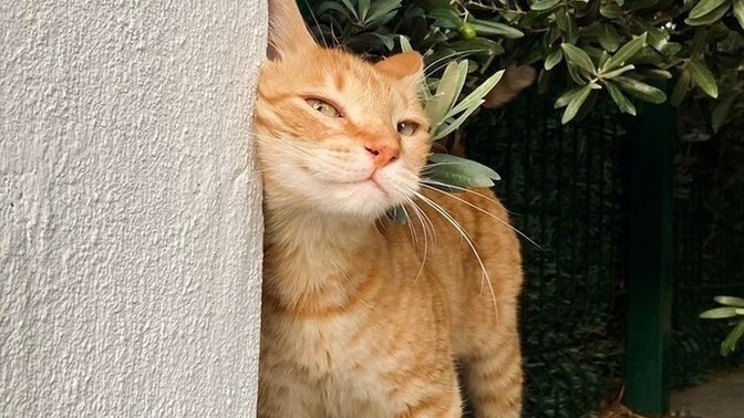 Ne geçiyor şu an içinden?