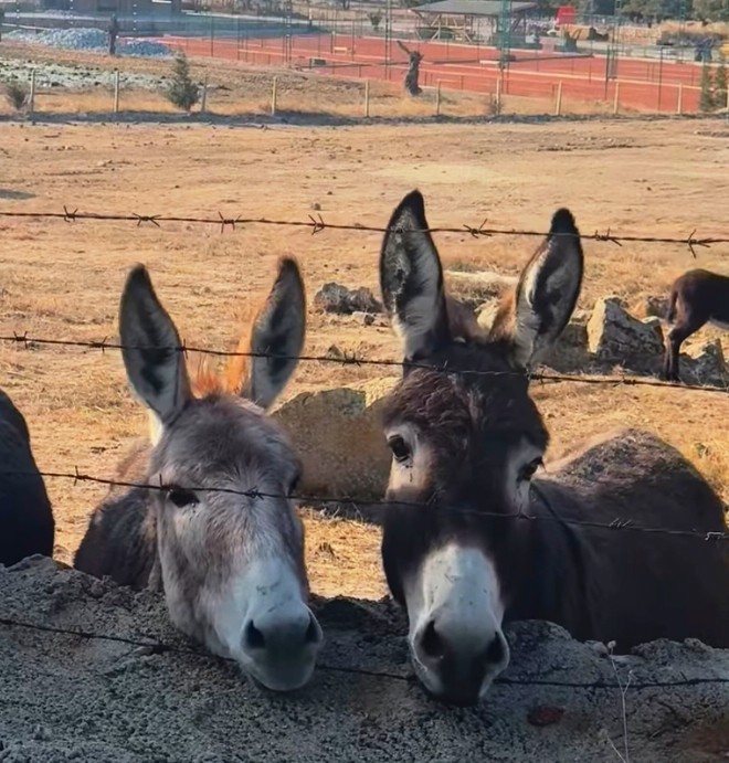 Gününü güzelleştiren neler var🥳?