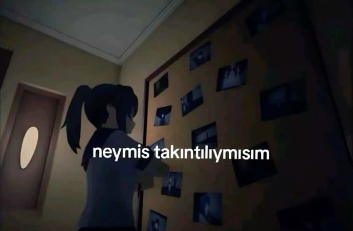 Cevap vermediğiniz halde takıntılı gibi mesaj atan var mı?