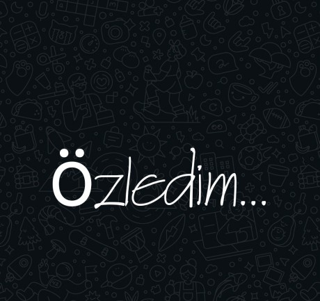 Bu mesajı kime atmak/kimden almak isterdin?
