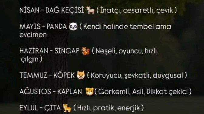 Doğum ayiniza göre hangi hayvansiniz?