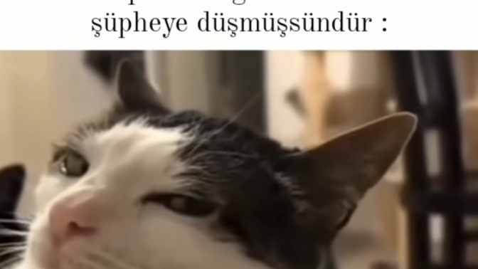 Aşka Şüphe İle Yaklaşanlardan Mısınız?