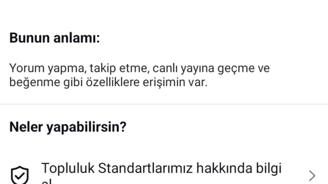 Bu görsel de kalıcı özellik kısıtlaması ya da herhangi bir kısıtlamaya rastlamak mümkün mü?