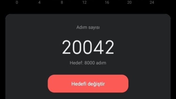 Günlük ortalama kaç adım atıyorsunuz?