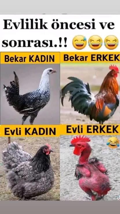 Resme istinaden