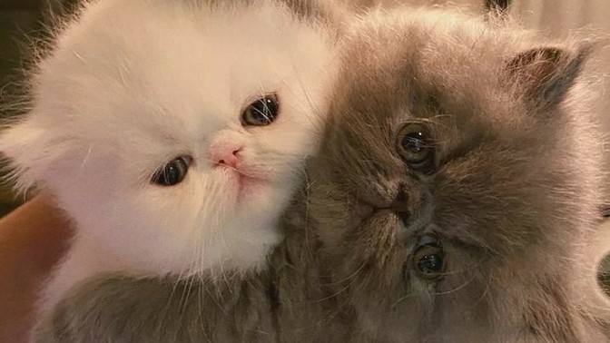 Sarılmak istediğin biri var mı?
