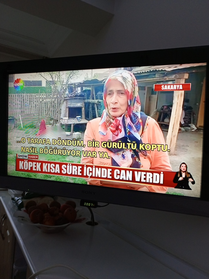 Belediye sorunu niye bitmiyor suçlular serbest geziyor hayvanlara taktılar?