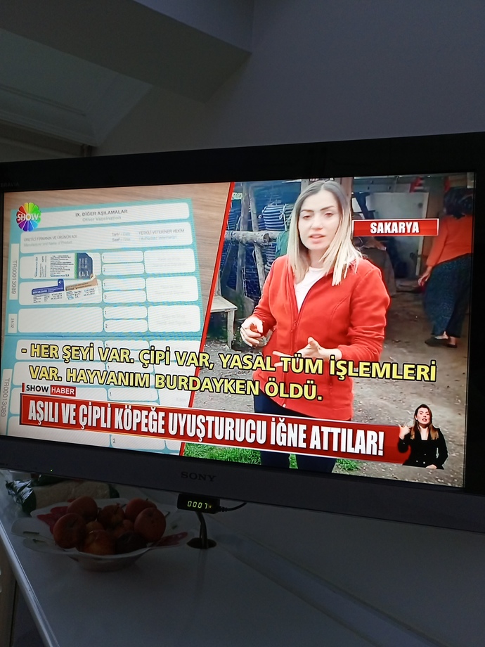 Belediye sorunu niye bitmiyor suçlular serbest geziyor hayvanlara taktılar?