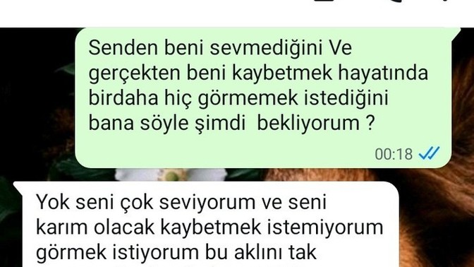 Ayrilma aşamasında oldugum erkek arkadaşım Bana böyle bir cevap verdi?