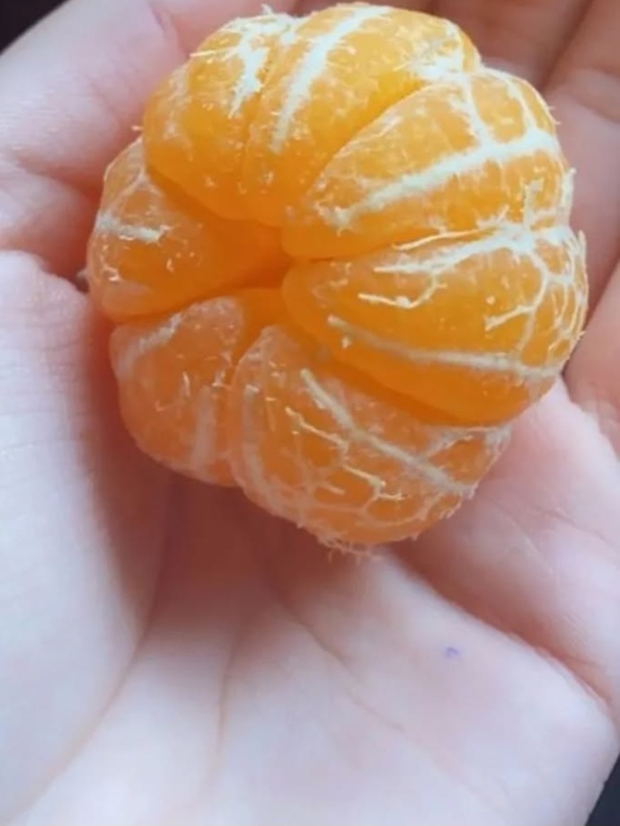 Kuru öksürüğe ne iyi gelir?