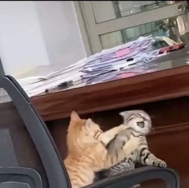 Sevgilinizin karşı cinsten arkadaşı olabilir mi?