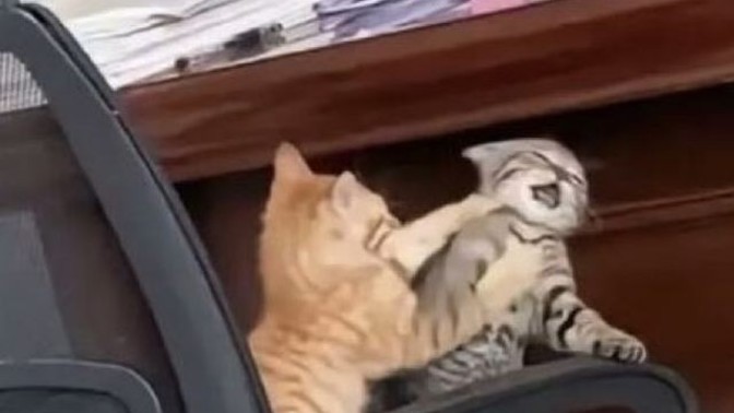Sevgilinizin karşı cinsten arkadaşı olabilir mi?