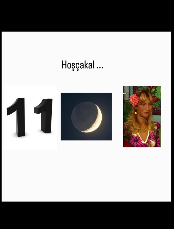 🌙 ✨