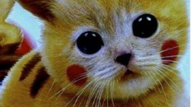 Arkadaşlar Pikachu nun kayıp ikizini buldum görmek ister misiniz?